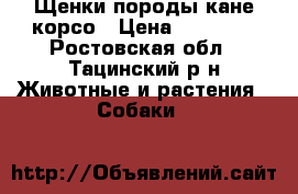 Щенки породы кане-корсо › Цена ­ 15 000 - Ростовская обл., Тацинский р-н Животные и растения » Собаки   